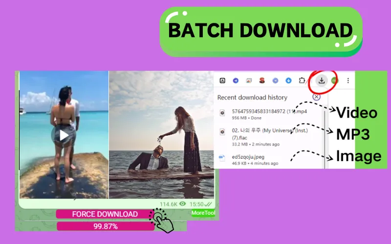 Telegram video and image downloader