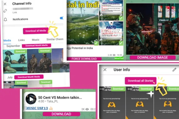 Descargador de historias y videos de Telegram